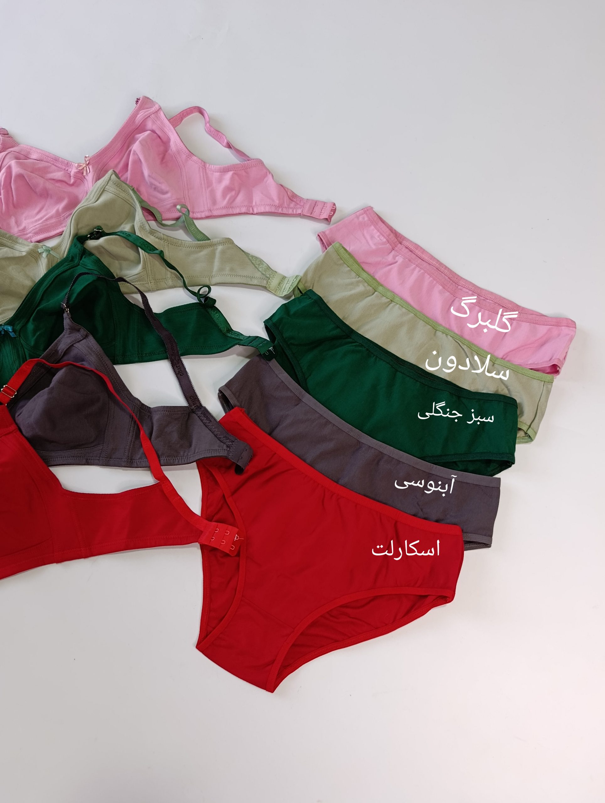 InShot_20260727_001408249-scaled ست شورت و سوتین بدون فنر - Image 1